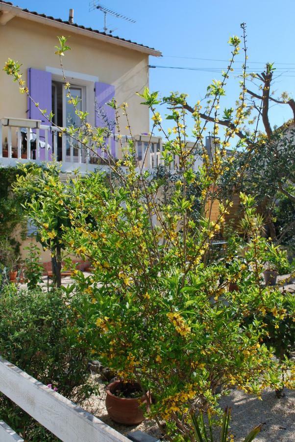 Le Pitchounet Arles Exterior foto